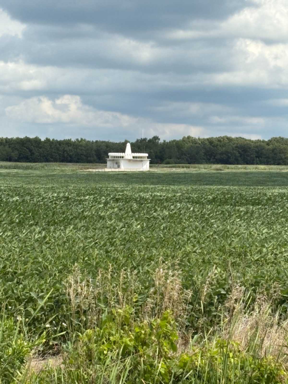 November 2025 VOR Quiz